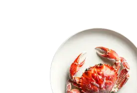 Морепродукты