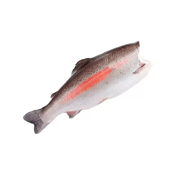 Форель потрошеная без головы свежемороженая премиум, 2,7–4 кг