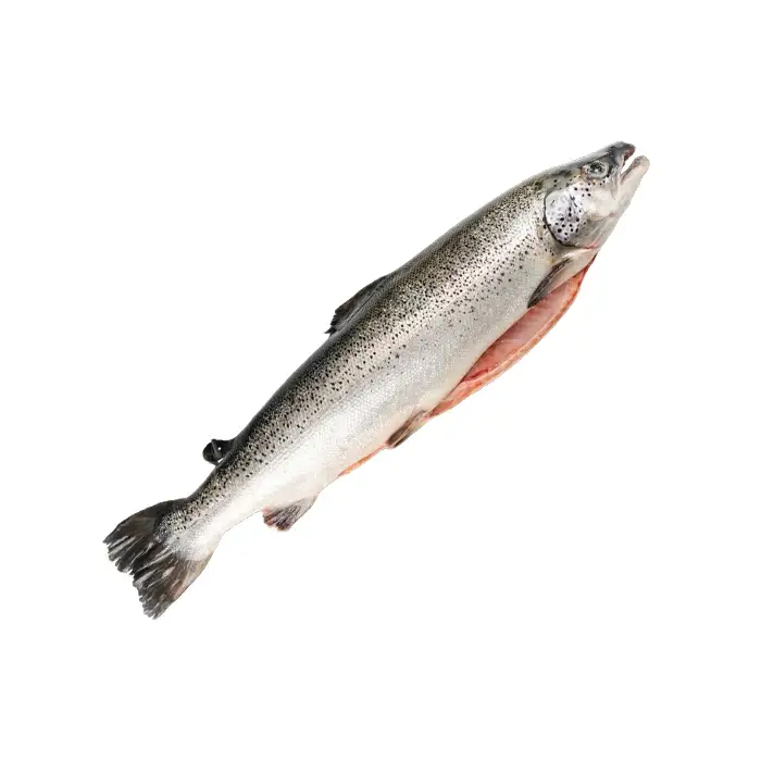 Семга потрошеная с головой Премиум «ДЕФА», 5–7 кг