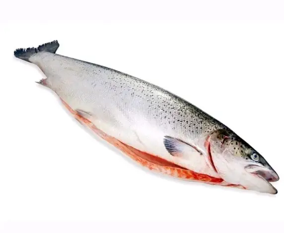 Лосось (Сёмга) поторошеный с головой свежемороженый Премиум, 7-8 кг