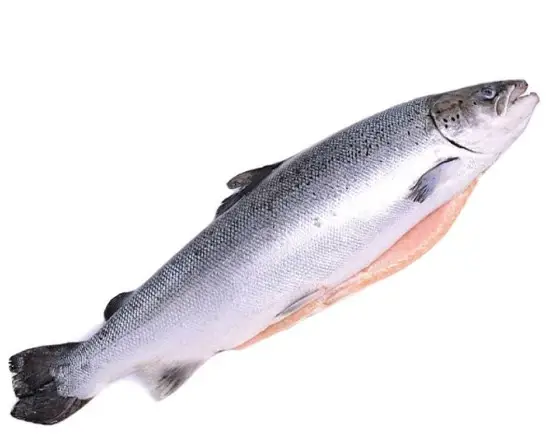 Лосось (Сёмга) потрошеный с головой свежемороженый Супер (Мурманск, Россия), 7-8 кг
