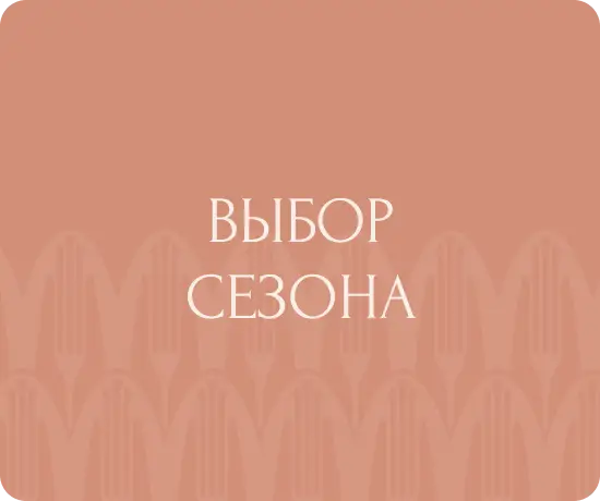 Выбор сезона