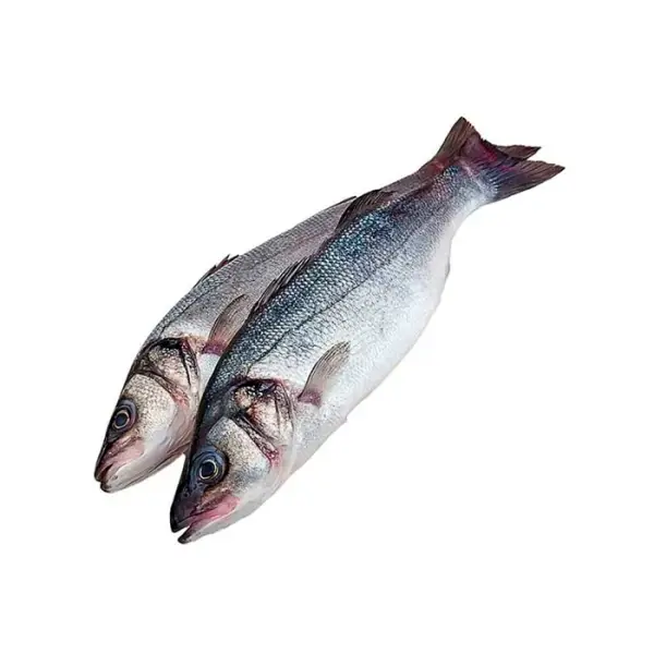 Сибас свежемороженый, 400–600 г/шт, 5 кг