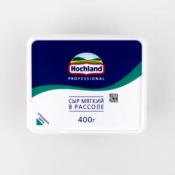 Сыр мягкий рассольный 45 % Hoсhland Professional, 480 г