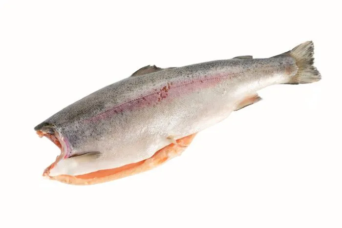 Рыба форель – 115 фото, ареал обитания, образ жизни, популяция форели и рацион питания рыбы