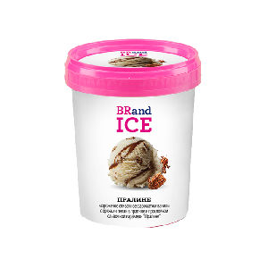 Мороженое сливочное ванильное Пралине BRandICE 600 гр