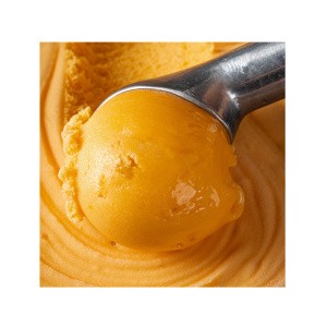 Мороженое десерт фруктовый (сорбет) манго 